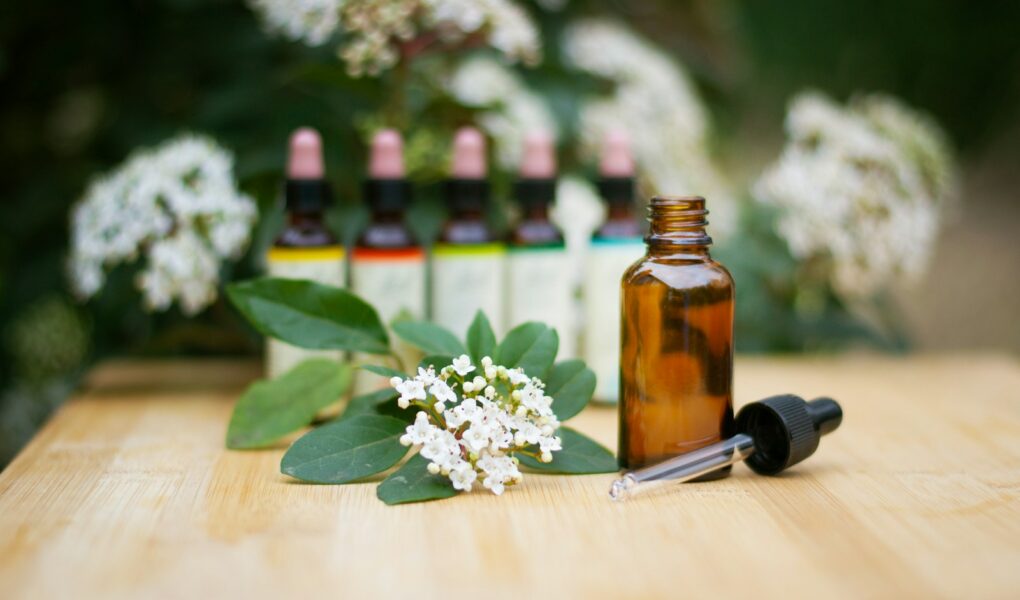 Élixirs floraux de fleurs de Bach pour l'équilibre émotionnel et le bien-être quotidien
